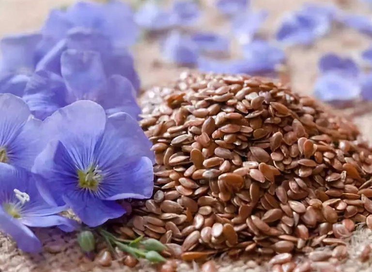 來(lái)自?xún)?nèi)蒙古大草原的亞麻籽油究竟神奇在何處？